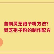 自制灵芝孢子粉方法？灵芝孢子粉的制作配方