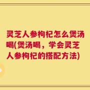 灵芝人参枸杞怎么煲汤喝(煲汤喝，学会灵芝人参枸杞的搭配方法)