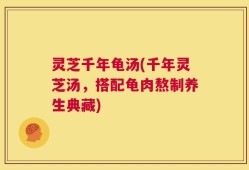 灵芝千年龟汤(千年灵芝汤，搭配龟肉熬制养生典藏)