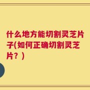 什么地方能切割灵芝片子(如何正确切割灵芝片？)