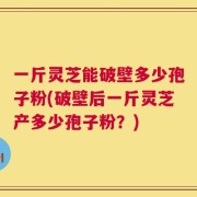 一斤灵芝能破壁多少孢子粉(破壁后一斤灵芝产多少孢子粉？)