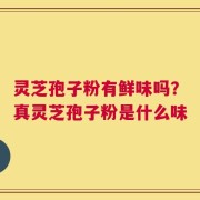 灵芝孢子粉有鲜味吗？真灵芝孢子粉是什么味