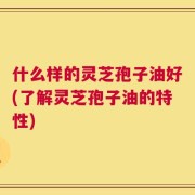 什么样的灵芝孢子油好(了解灵芝孢子油的特性)