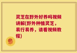 灵芝在野外好养吗视频讲解(野外种植灵芝，易行易养，请看视频教程)