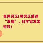 毒黑灵芝(黑灵芝遭遇“毒瘤”，科学家发出警告)