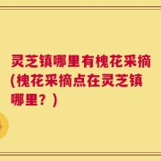 灵芝镇哪里有槐花采摘(槐花采摘点在灵芝镇哪里？)