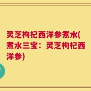 灵芝枸杞西洋参煮水(煮水三宝：灵芝枸杞西洋参)