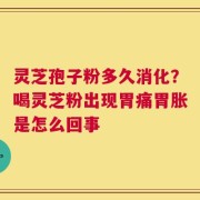 灵芝孢子粉多久消化？喝灵芝粉出现胃痛胃胀是怎么回事
