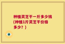 种植灵芝干一斤多少钱(种植1斤灵芝干价格多少？)