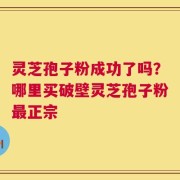 灵芝孢子粉成功了吗？哪里买破壁灵芝孢子粉最正宗