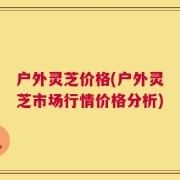 户外灵芝价格(户外灵芝市场行情价格分析)