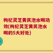 枸杞灵芝黄芪泡水喝功效(枸杞灵芝黄芪泡水喝的5大好处)