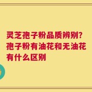 灵芝孢子粉品质辨别？孢子粉有油花和无油花有什么区别