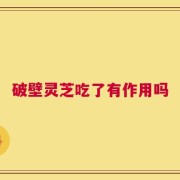 破壁灵芝吃了有作用吗