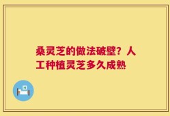 桑灵芝的做法破壁？人工种植灵芝多久成熟