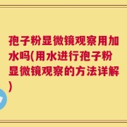 孢子粉显微镜观察用加水吗(用水进行孢子粉显微镜观察的方法详解)