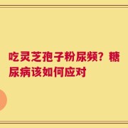 吃灵芝孢子粉尿频？糖尿病该如何应对