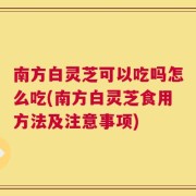 南方白灵芝可以吃吗怎么吃(南方白灵芝食用方法及注意事项)
