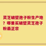 灵芝破壁孢子粉生产地？哪里买破壁灵芝孢子粉最正宗