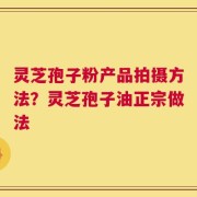 灵芝孢子粉产品拍摄方法？灵芝孢子油正宗做法