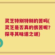 灵芝特别特别的苦吗(灵芝是否真的很苦呢？探寻其味道之谜)