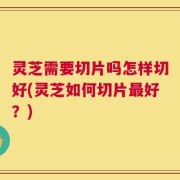 灵芝需要切片吗怎样切好(灵芝如何切片最好？)