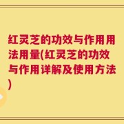 红灵芝的功效与作用用法用量(红灵芝的功效与作用详解及使用方法)