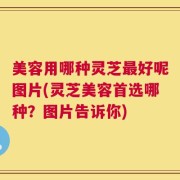 美容用哪种灵芝最好呢图片(灵芝美容首选哪种？图片告诉你)