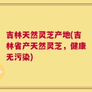 吉林天然灵芝产地(吉林省产天然灵芝，健康无污染)