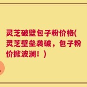 灵芝破壁包子粉价格(灵芝壁垒袭破，包子粉价掀波澜！)