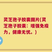 灵芝孢子胶囊图片(灵芝孢子胶囊：增强免疫力，健康无忧。)