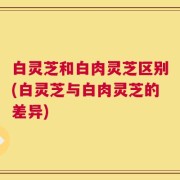 白灵芝和白肉灵芝区别(白灵芝与白肉灵芝的差异)