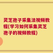 灵芝孢子采集法视频教程(学习如何采集灵芝孢子的视频教程)