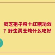 灵芝孢子粉十红糖功效？野生灵芝炖什么吃好