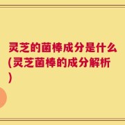 灵芝的菌棒成分是什么(灵芝菌棒的成分解析)