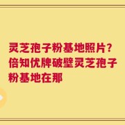 灵芝孢子粉基地照片？倍知优牌破壁灵芝孢子粉基地在那