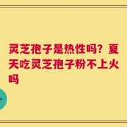 灵芝孢子是热性吗？夏天吃灵芝孢子粉不上火吗