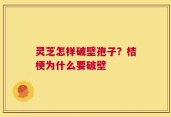 灵芝怎样破壁孢子？桔梗为什么要破壁