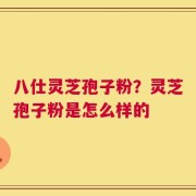 八仕灵芝孢子粉？灵芝孢子粉是怎么样的