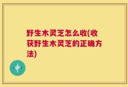 野生木灵芝怎么收(收获野生木灵芝的正确方法)