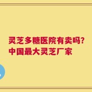 灵芝多糖医院有卖吗？中国最大灵芝厂家