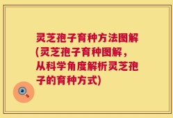 灵芝孢子育种方法图解(灵芝孢子育种图解，从科学角度解析灵芝孢子的育种方式)