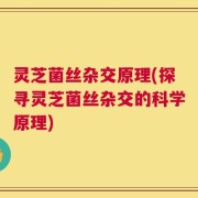 灵芝菌丝杂交原理(探寻灵芝菌丝杂交的科学原理)