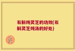 石斛炖灵芝的功效(石斛灵芝炖汤的好处)