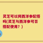 灵芝可以同西洋参配搭吗(灵芝与西洋参可否搭配使用？)