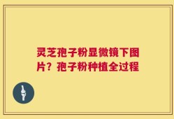 灵芝孢子粉显微镜下图片？孢子粉种植全过程