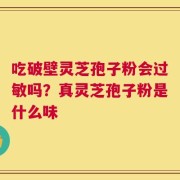 吃破壁灵芝孢子粉会过敏吗？真灵芝孢子粉是什么味
