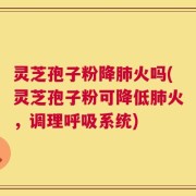 灵芝孢子粉降肺火吗(灵芝孢子粉可降低肺火，调理呼吸系统)