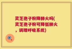 灵芝孢子粉降肺火吗(灵芝孢子粉可降低肺火，调理呼吸系统)