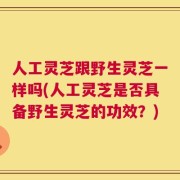 人工灵芝跟野生灵芝一样吗(人工灵芝是否具备野生灵芝的功效？)